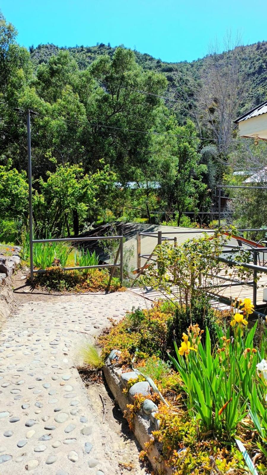 Hostal Los Peñones San Alfonso Exterior foto